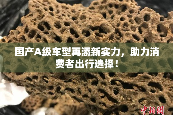 国产A级车型再添新实力，助力消费者出行选择！