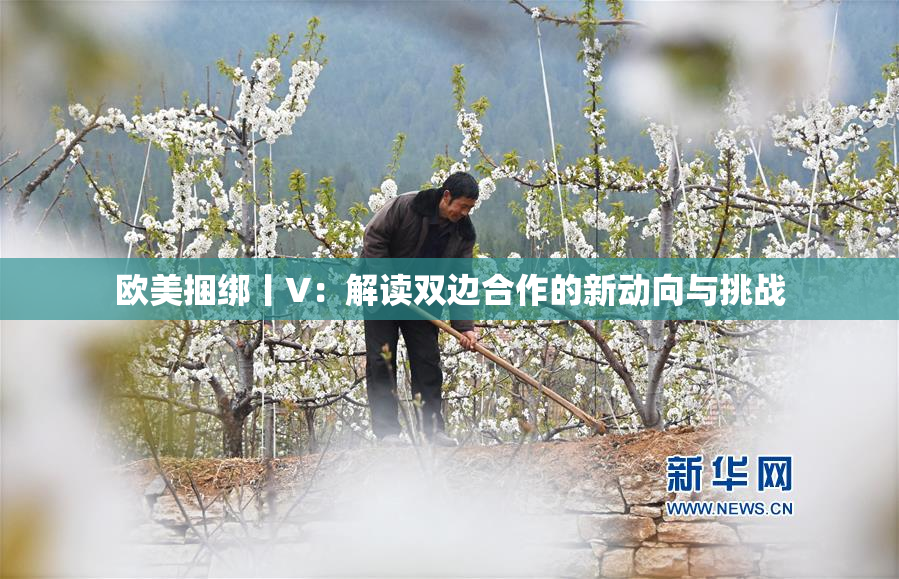 欧美捆绑丨V：解读双边合作的新动向与挑战