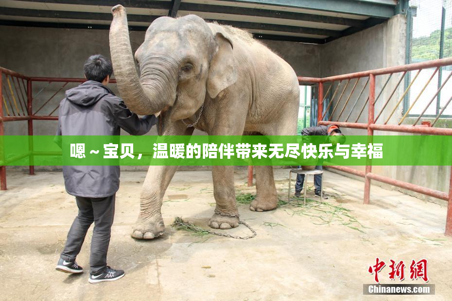 嗯～宝贝，温暖的陪伴带来无尽快乐与幸福