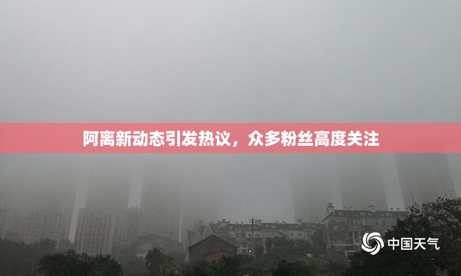 阿离新动态引发热议，众多粉丝高度关注
