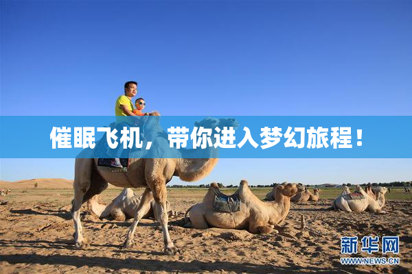 催眠飞机，带你进入梦幻旅程！