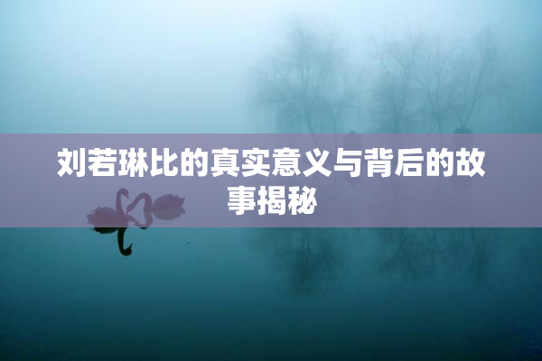 刘若琳比的真实意义与背后的故事揭秘