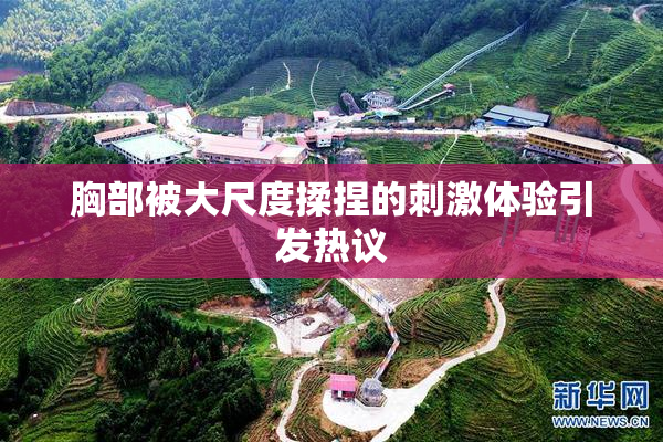 胸部被大尺度揉捏的刺激体验引发热议