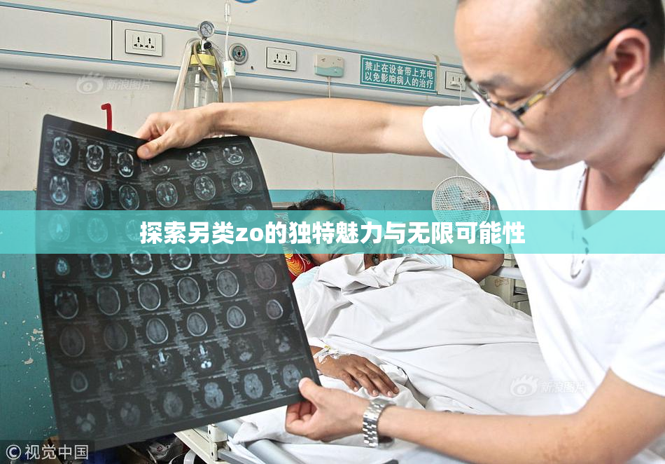 探索另类zo的独特魅力与无限可能性