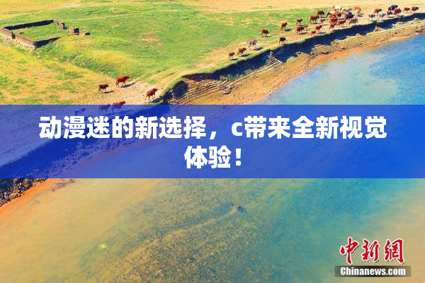 动漫迷的新选择，c带来全新视觉体验！