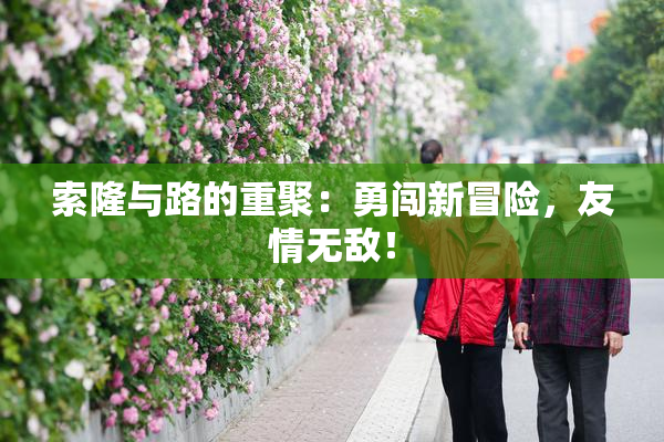 索隆与路的重聚：勇闯新冒险，友情无敌！