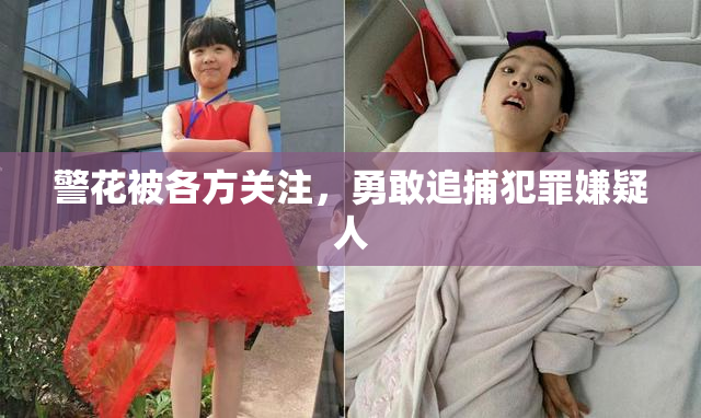 警花被各方关注，勇敢追捕犯罪嫌疑人