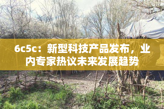 6c5c：新型科技产品发布，业内专家热议未来发展趋势