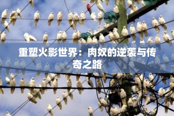 重塑火影世界：肉奴的逆袭与传奇之路