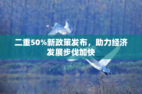 二重50%新政策发布，助力经济发展步伐加快