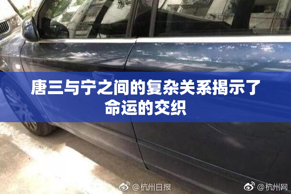 唐三与宁之间的复杂关系揭示了命运的交织
