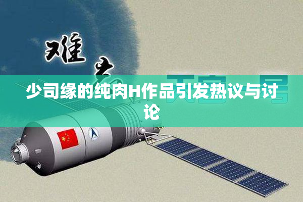 少司缘的纯肉H作品引发热议与讨论