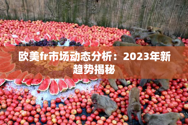 欧美fr市场动态分析：2023年新趋势揭秘
