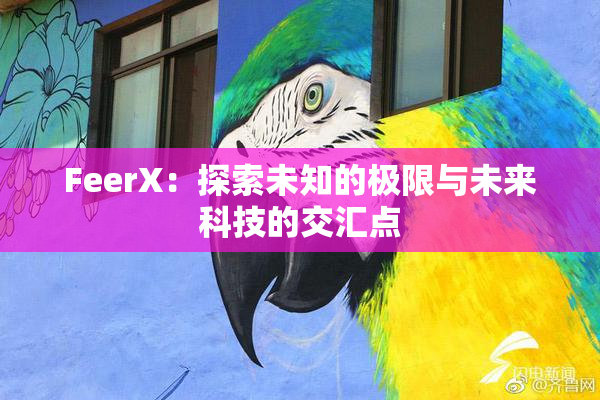 FeerX：探索未知的极限与未来科技的交汇点