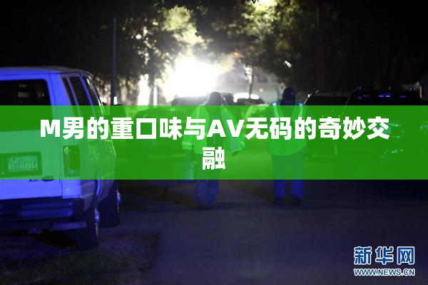 M男的重口味与AV无码的奇妙交融