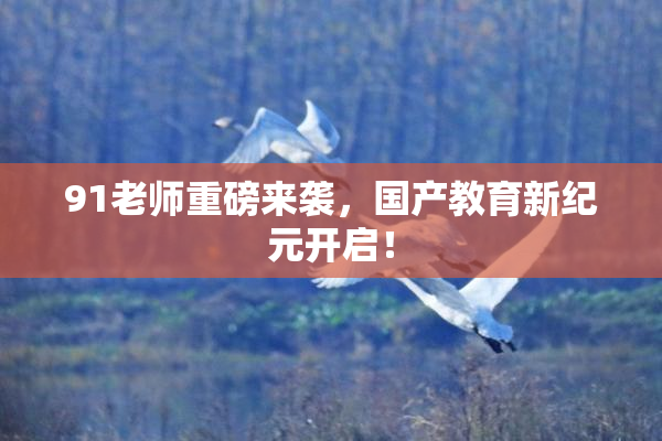 91老师重磅来袭，国产教育新纪元开启！