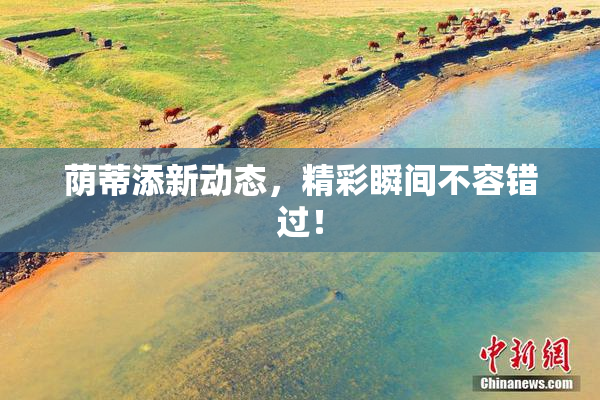 荫蒂添新动态，精彩瞬间不容错过！