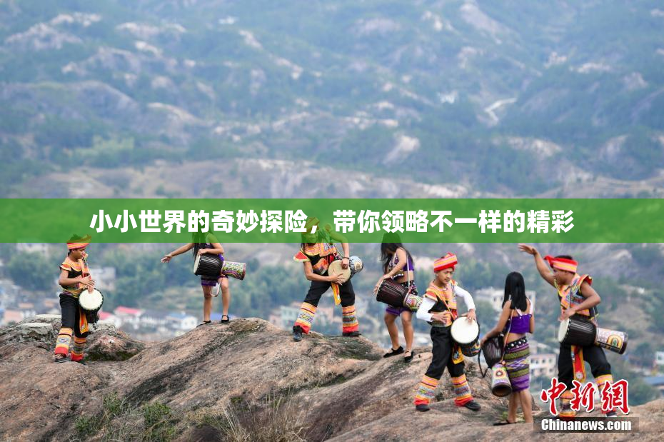 小小世界的奇妙探险，带你领略不一样的精彩