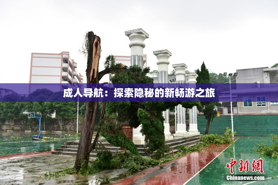 成人导航：探索隐秘的新畅游之旅