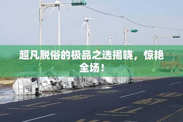 超凡脱俗的极品之选揭晓，惊艳全场！