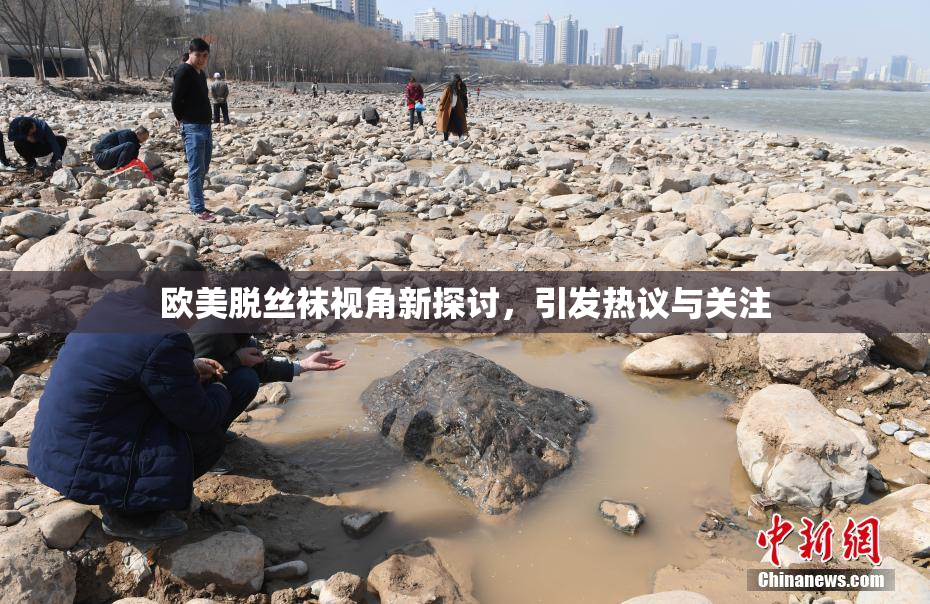欧美脱丝袜视角新探讨，引发热议与关注