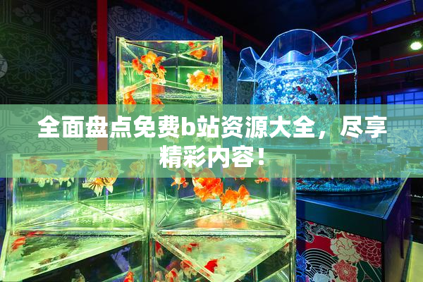 全面盘点免费b站资源大全，尽享精彩内容！