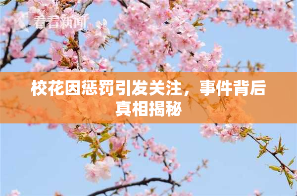 校花因惩罚引发关注，事件背后真相揭秘