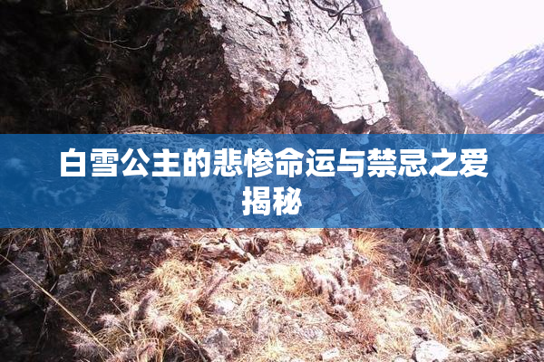 白雪公主的悲惨命运与禁忌之爱揭秘