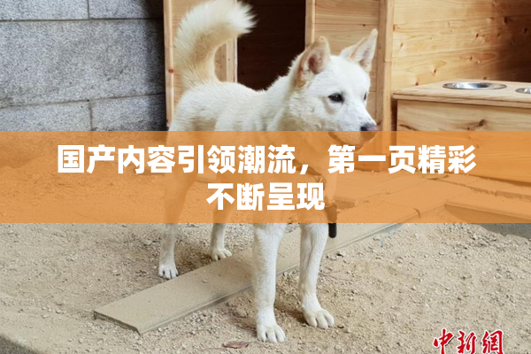 国产内容引领潮流，第一页精彩不断呈现