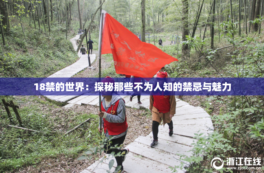 18禁的世界：探秘那些不为人知的禁忌与魅力