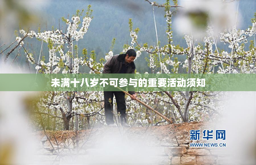 未满十八岁不可参与的重要活动须知