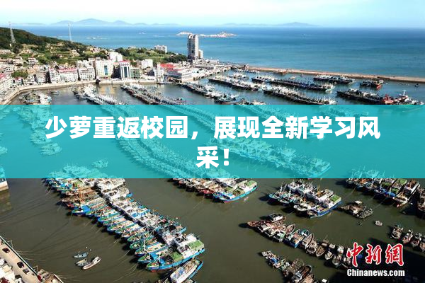 少萝重返校园，展现全新学习风采！