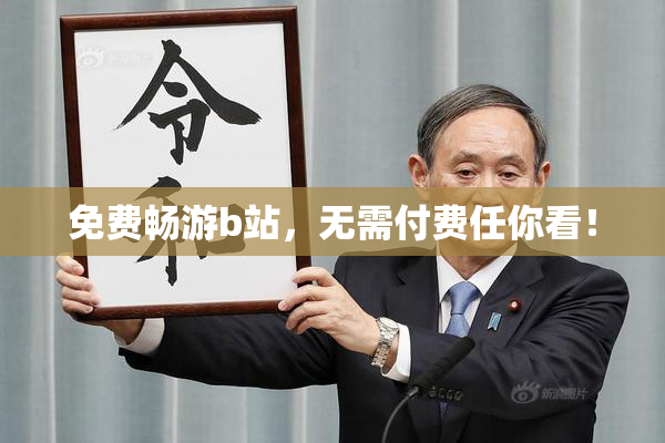 免费畅游b站，无需付费任你看！