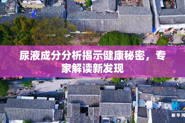 尿液成分分析揭示健康秘密，专家解读新发现