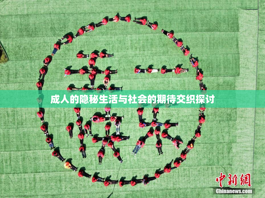 成人的隐秘生活与社会的期待交织探讨