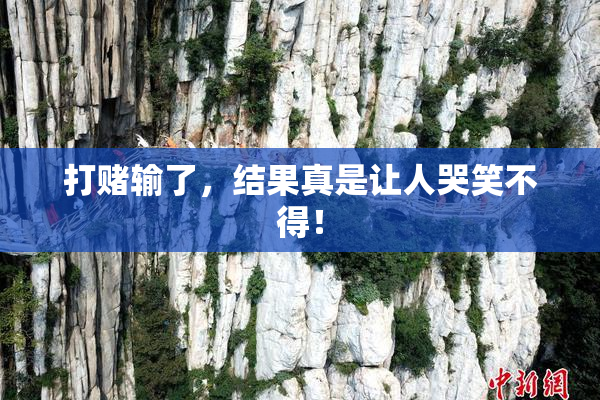 打赌输了，结果真是让人哭笑不得！