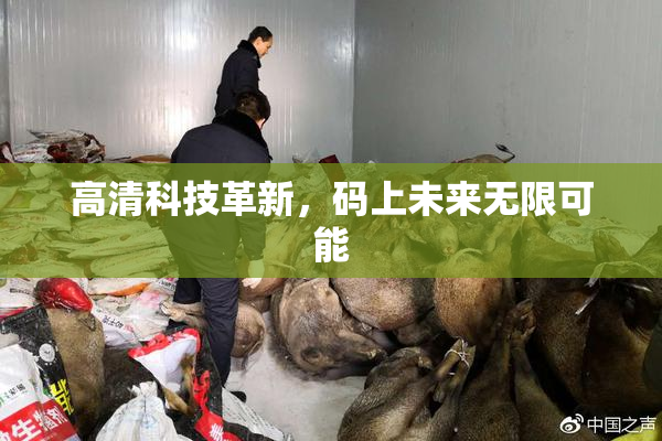 高清科技革新，码上未来无限可能