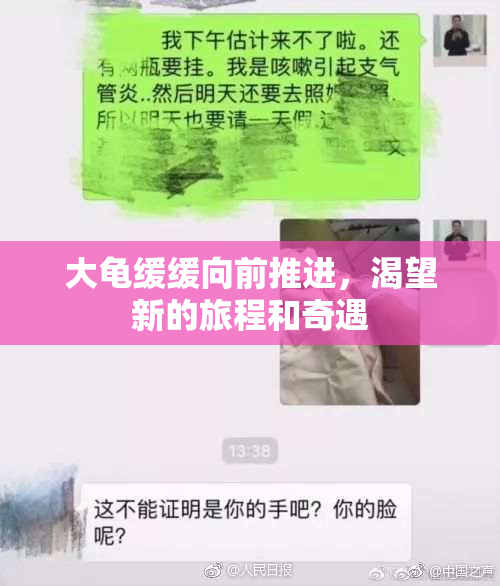 大龟缓缓向前推进，渴望新的旅程和奇遇