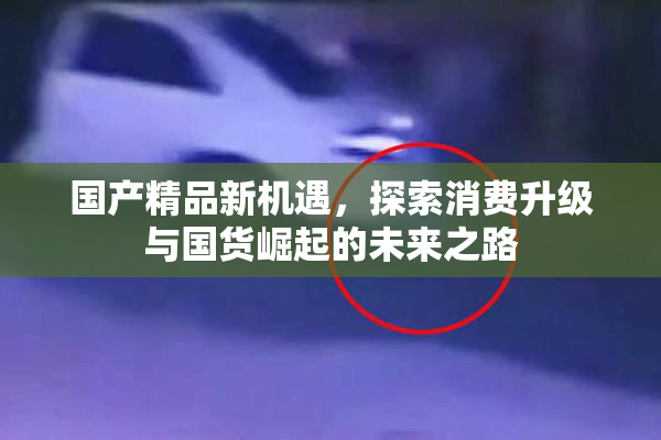 国产精品新机遇，探索消费升级与国货崛起的未来之路