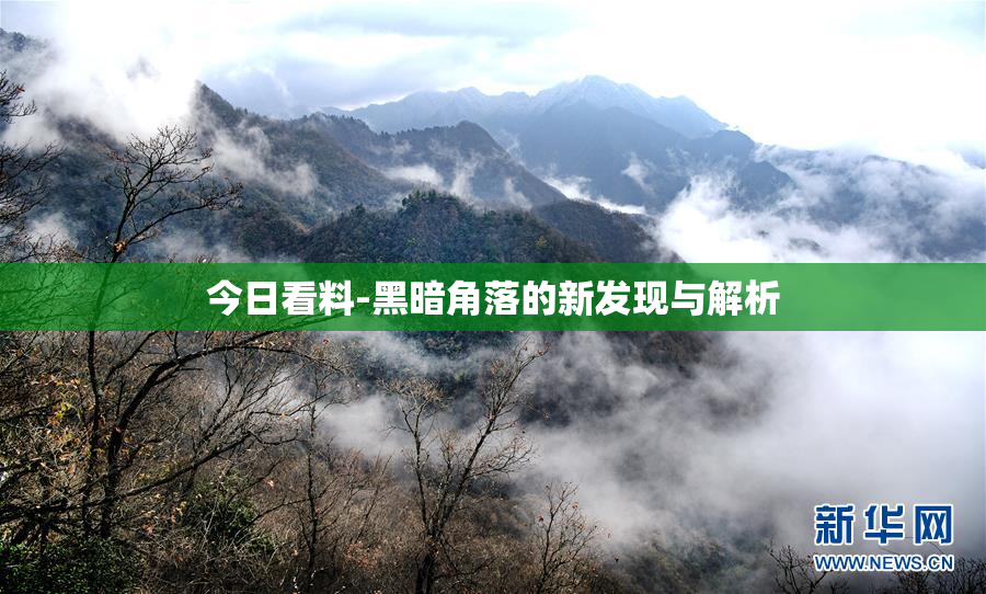 今日看料-黑暗角落的新发现与解析