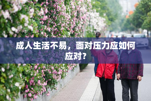 成人生活不易，面对压力应如何应对？