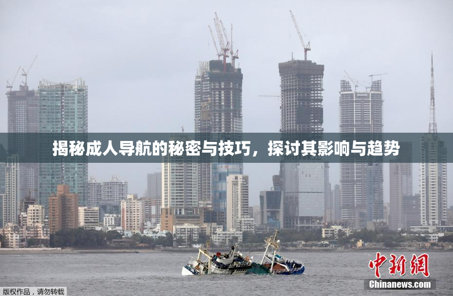 揭秘成人导航的秘密与技巧，探讨其影响与趋势