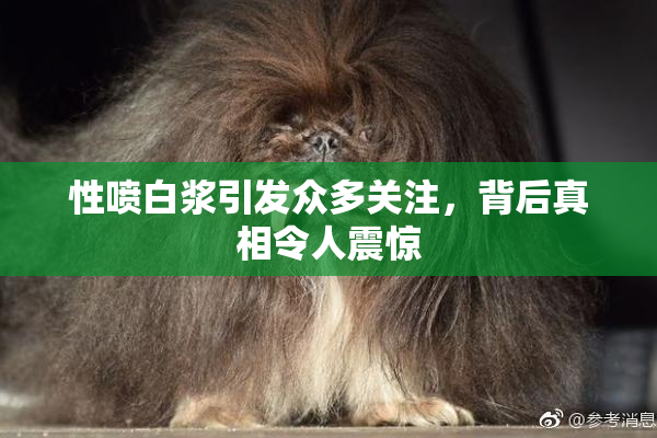 性喷白浆引发众多关注，背后真相令人震惊