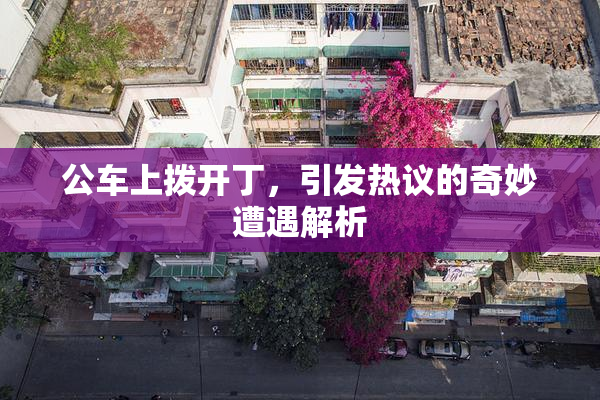 公车上拨开丁，引发热议的奇妙遭遇解析