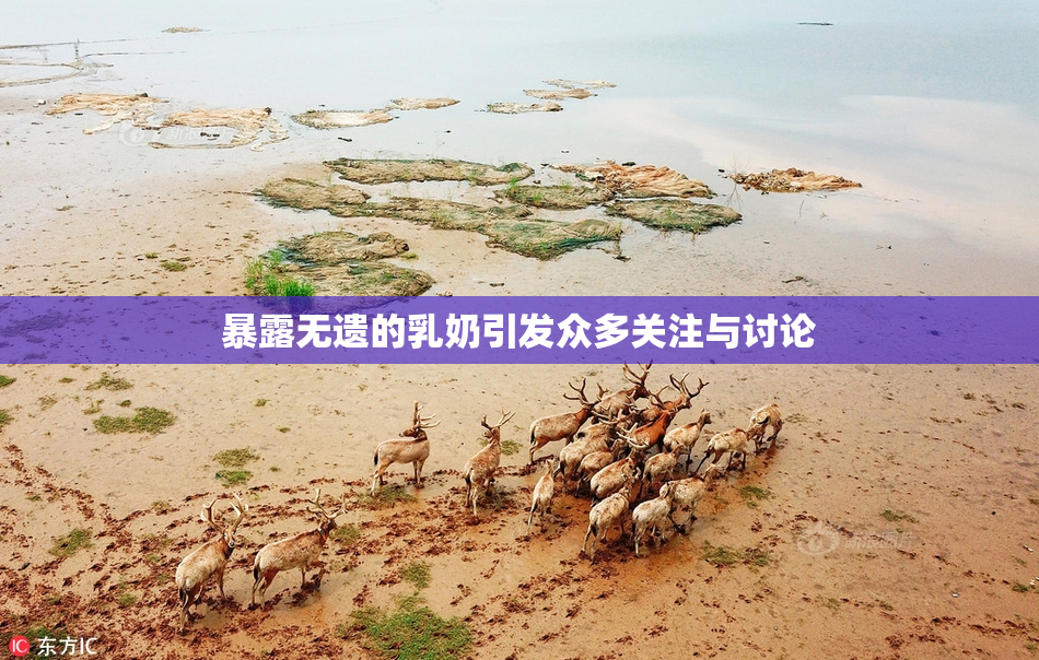 暴露无遗的乳奶引发众多关注与讨论
