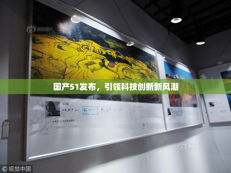国产51发布，引领科技创新新风潮