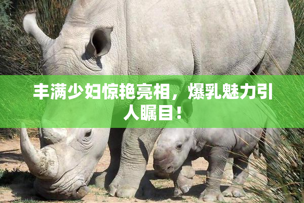 丰满少妇惊艳亮相，爆乳魅力引人瞩目！