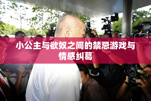 小公主与欲奴之间的禁忌游戏与情感纠葛