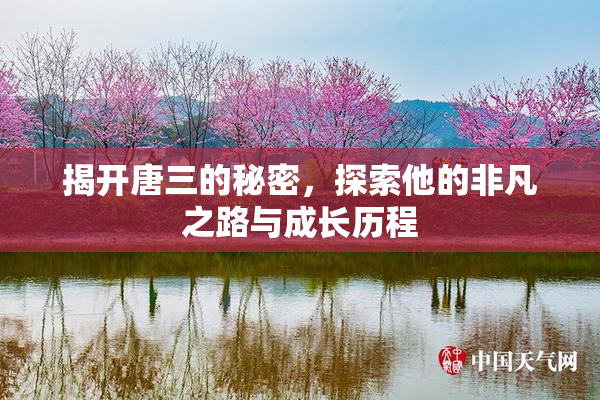 揭开唐三的秘密，探索他的非凡之路与成长历程