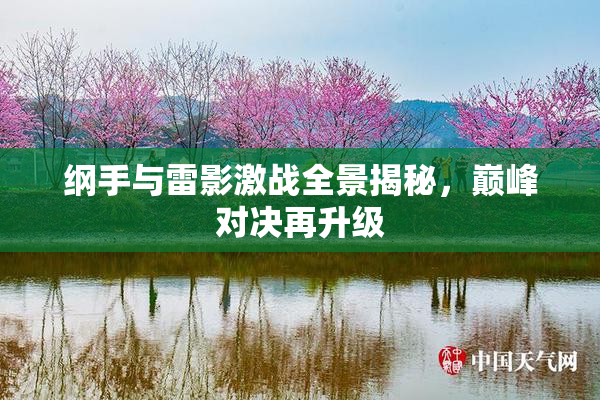 纲手与雷影激战全景揭秘，巅峰对决再升级